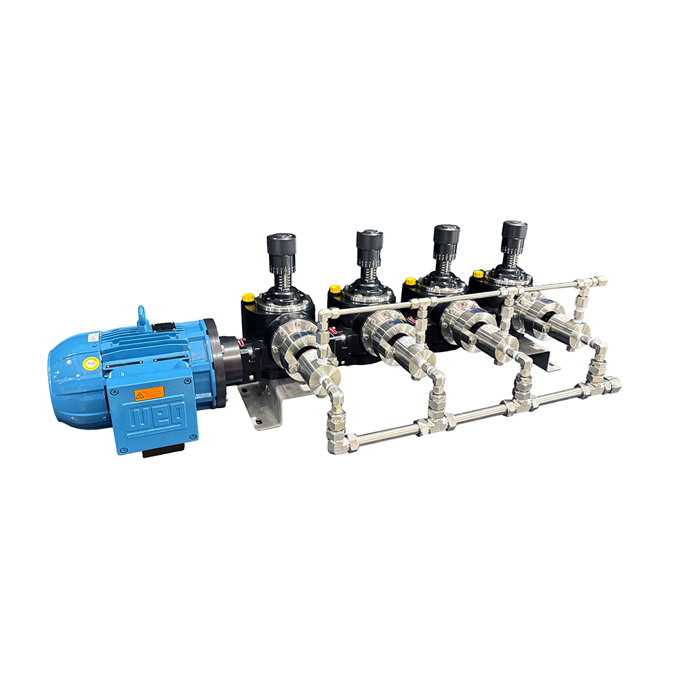 Multi-head pump arrangement with a blue electric motor