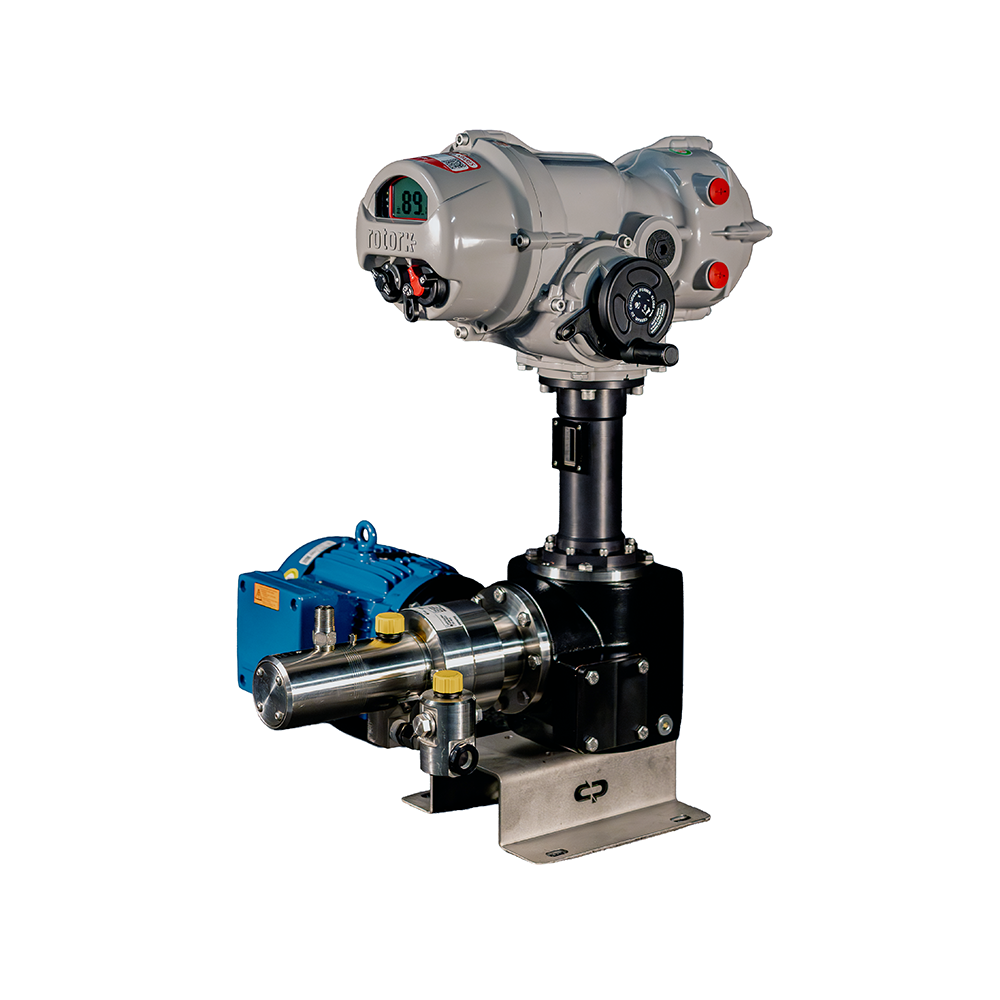 Pump arrangement with an actuator and blue electric motor